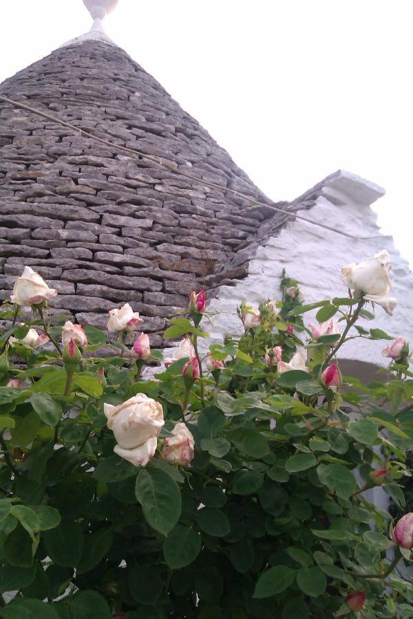 Trulli La Casa Di Rosa Acomodação com café da manhã Alberobello Exterior foto