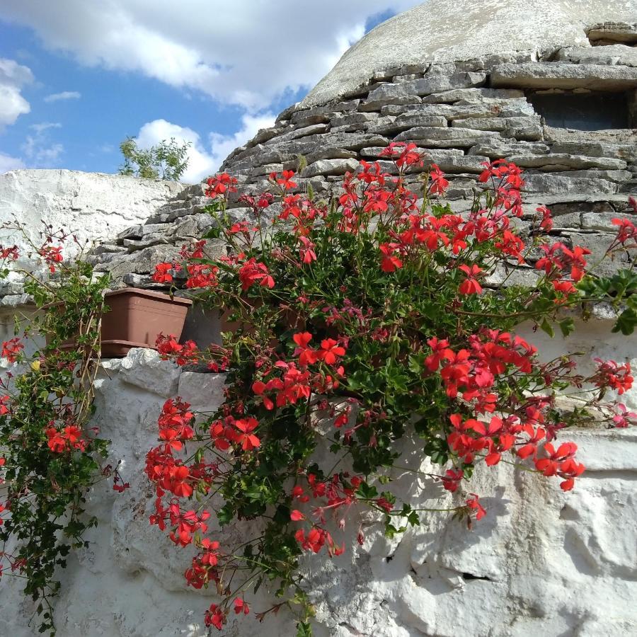 Trulli La Casa Di Rosa Acomodação com café da manhã Alberobello Exterior foto