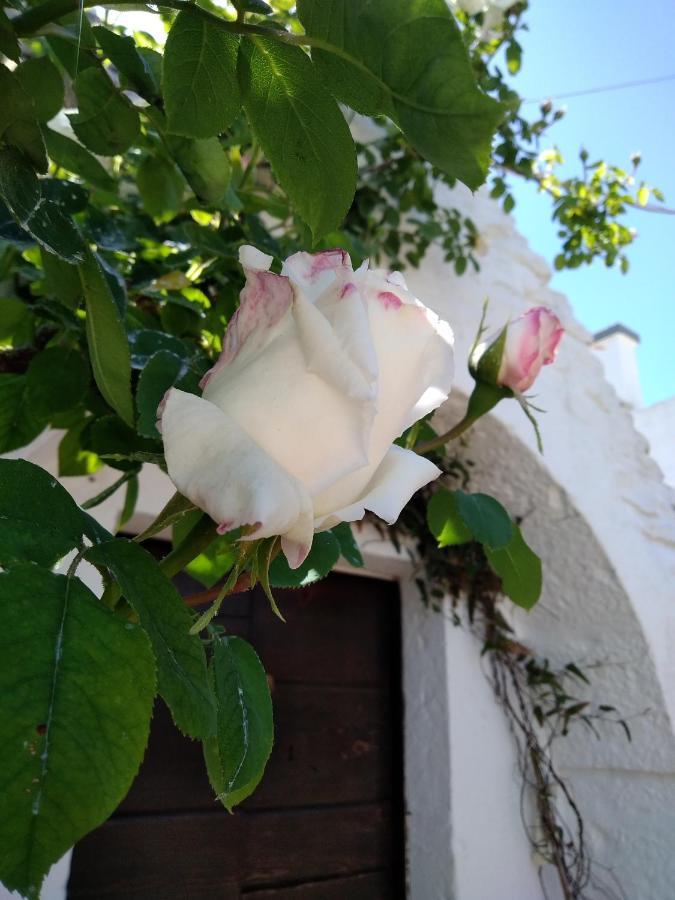 Trulli La Casa Di Rosa Acomodação com café da manhã Alberobello Exterior foto