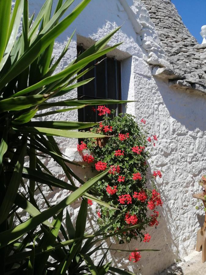 Trulli La Casa Di Rosa Acomodação com café da manhã Alberobello Exterior foto