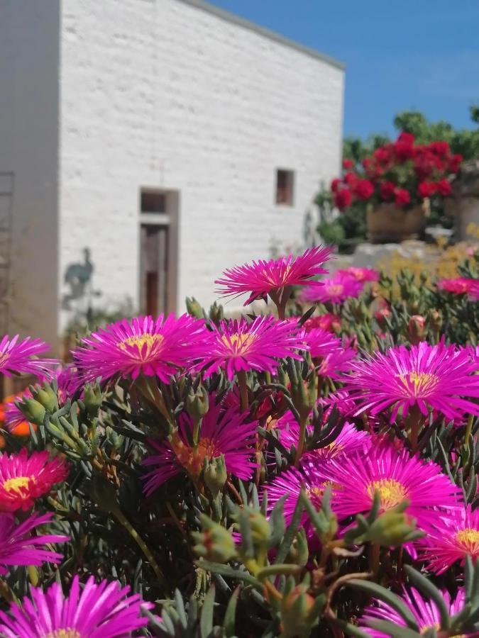 Trulli La Casa Di Rosa Acomodação com café da manhã Alberobello Exterior foto