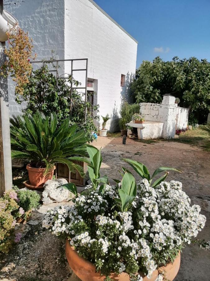 Trulli La Casa Di Rosa Acomodação com café da manhã Alberobello Exterior foto